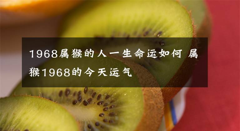 1968属猴的人一生命运如何 属猴1968的今天运气