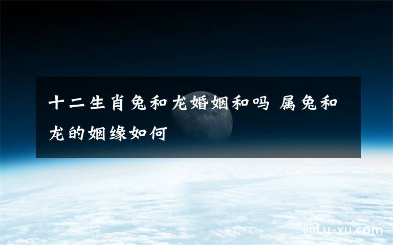 十二生肖兔和龙婚姻和吗 属兔和龙的姻缘如何