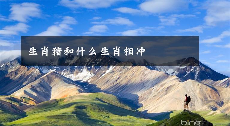 生肖猪和什么生肖相冲