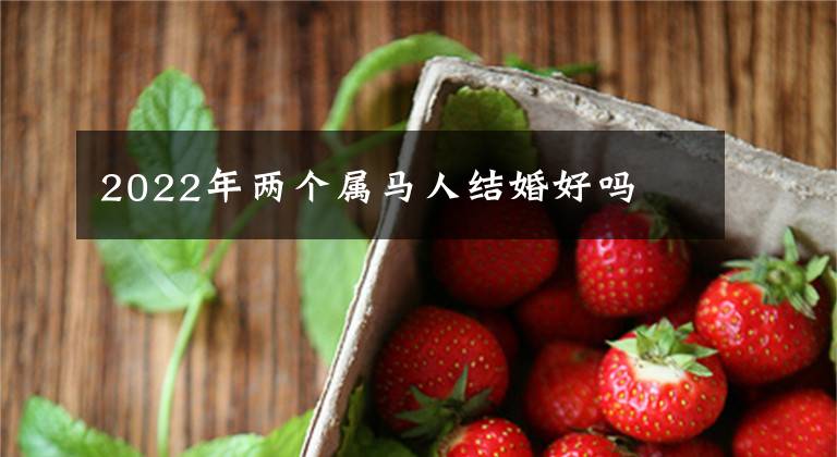 2022年两个属马人结婚好吗