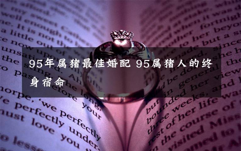 95年属猪最佳婚配 95属猪人的终身宿命