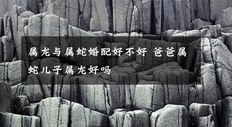 属龙与属蛇婚配好不好 爸爸属蛇儿子属龙好吗