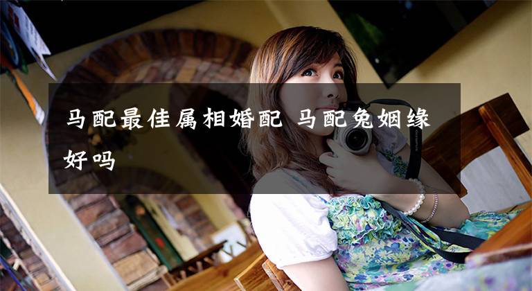 马配最佳属相婚配 马配兔姻缘好吗