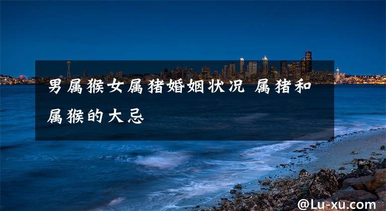 男属猴女属猪婚姻状况 属猪和属猴的大忌