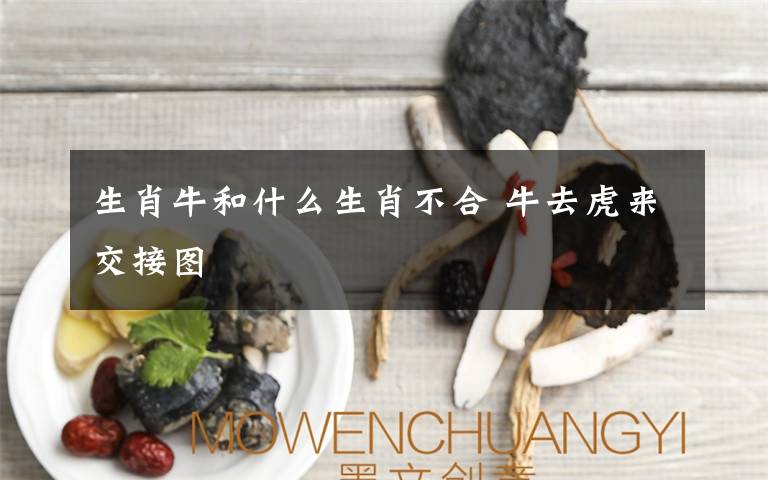 生肖牛和什么生肖不合 牛去虎来交接图