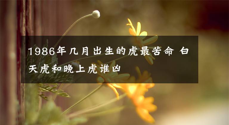 1986年几月出生的虎最苦命 白天虎和晚上虎谁凶