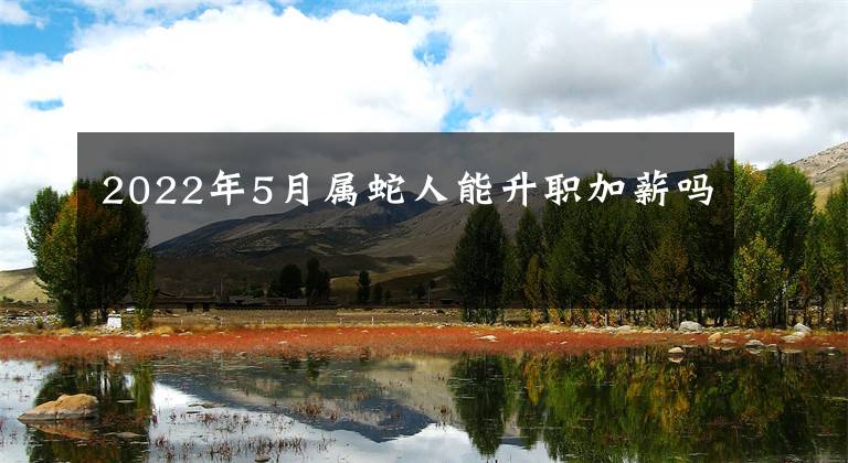 2022年5月属蛇人能升职加薪吗