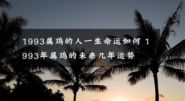 1993属鸡的人一生命运如何 1993年属鸡的未来几年运势