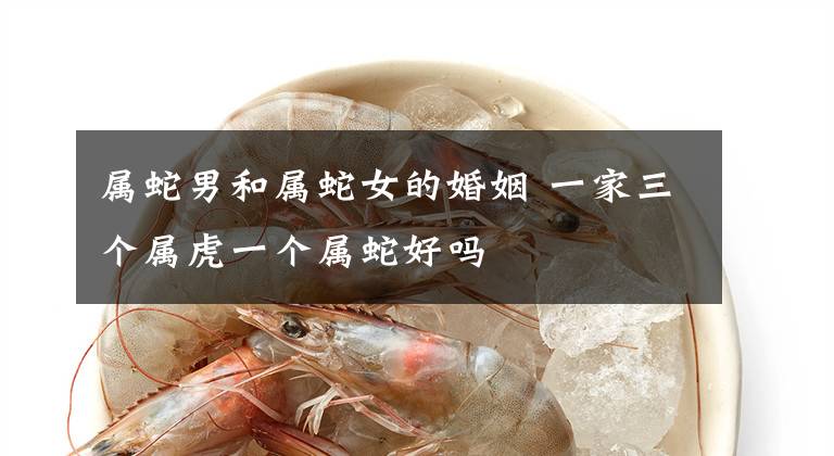 属蛇男和属蛇女的婚姻 一家三个属虎一个属蛇好吗