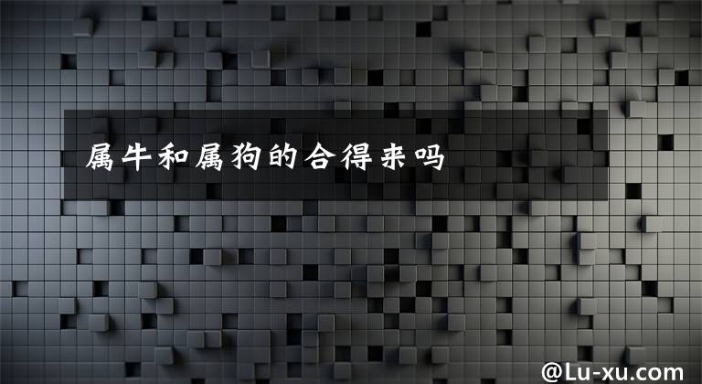 属牛和属狗的合得来吗