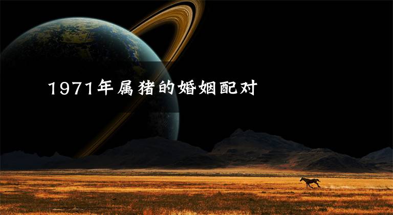 1971年属猪的婚姻配对
