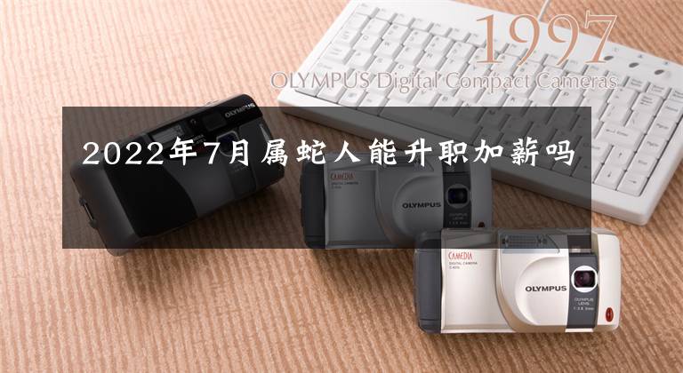 2022年7月属蛇人能升职加薪吗