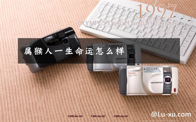 属猴人一生命运怎么样