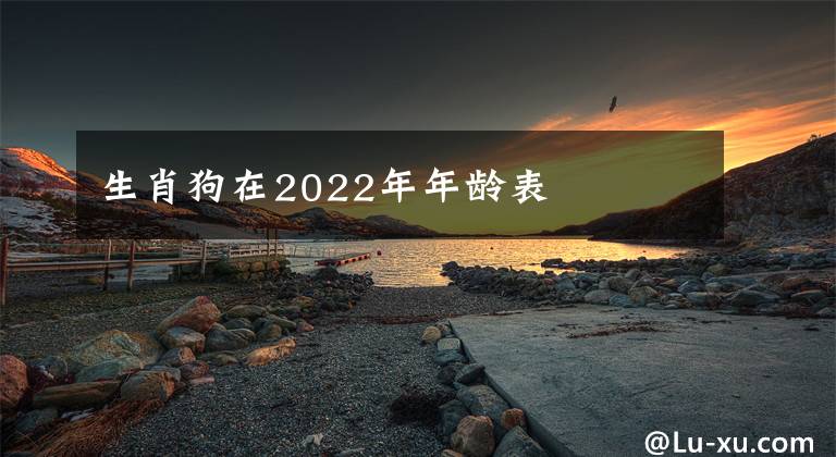 生肖狗在2022年年龄表