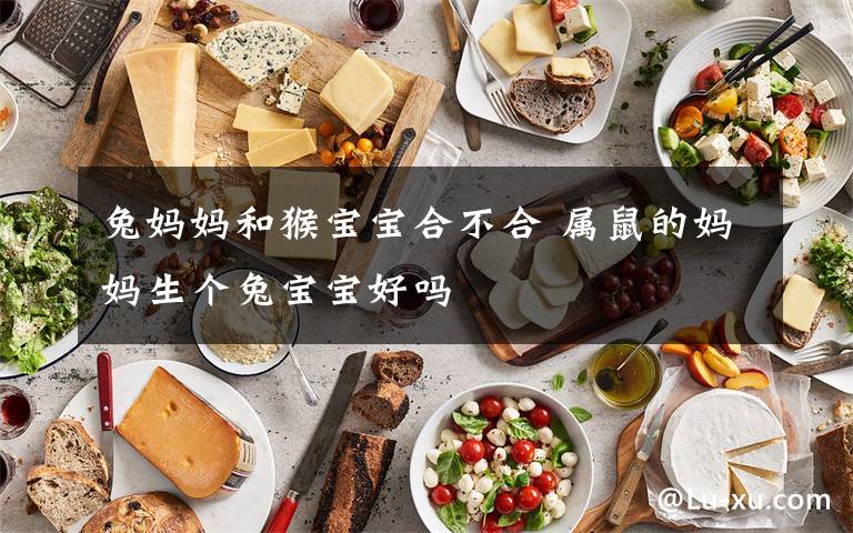 兔妈妈和猴宝宝合不合 属鼠的妈妈生个兔宝宝好吗