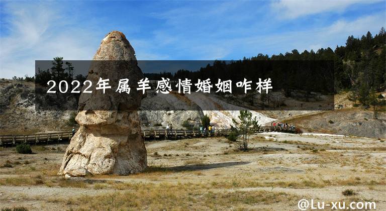 2022年属羊感情婚姻咋样