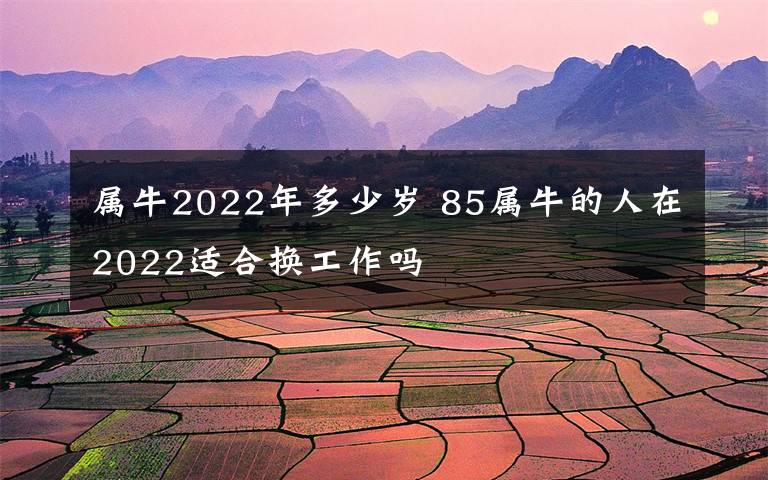 属牛2022年多少岁 85属牛的人在2022适合换工作吗