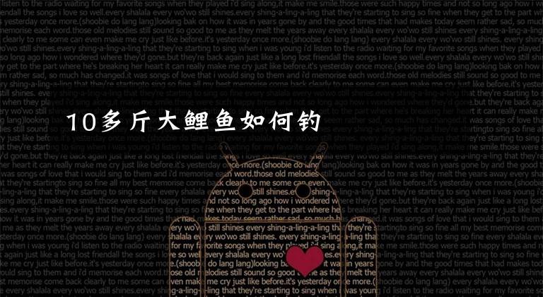 10多斤大鲤鱼如何钓