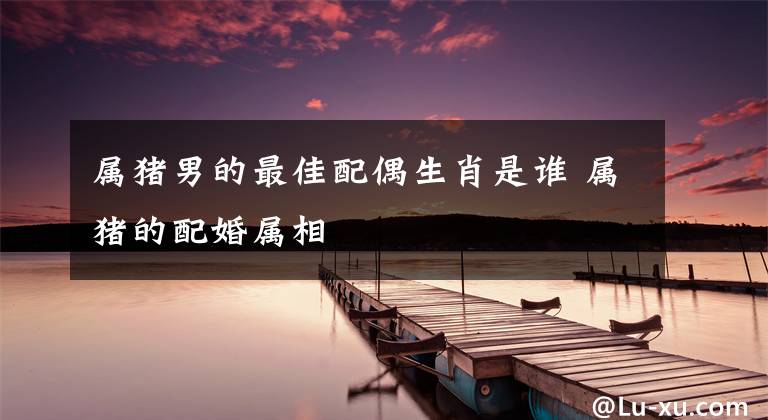 属猪男的最佳配偶生肖是谁 属猪的配婚属相