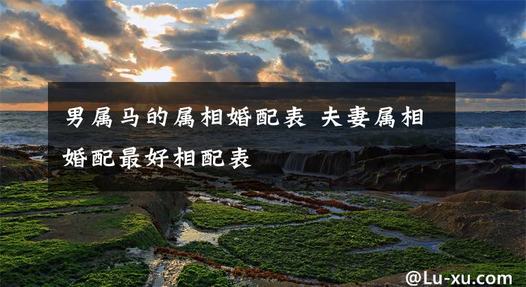 男属马的属相婚配表 夫妻属相婚配最好相配表