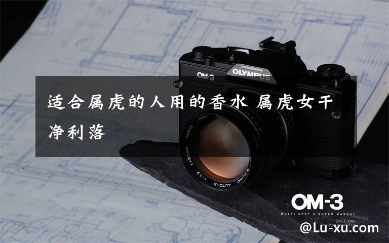 适合属虎的人用的香水 属虎女干净利落