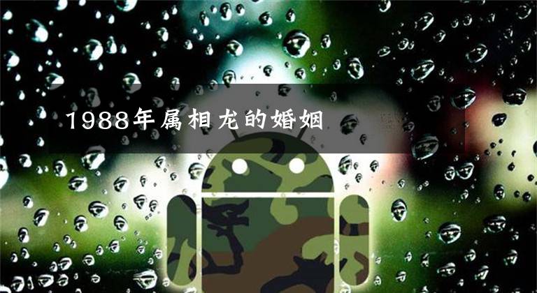 1988年属相龙的婚姻