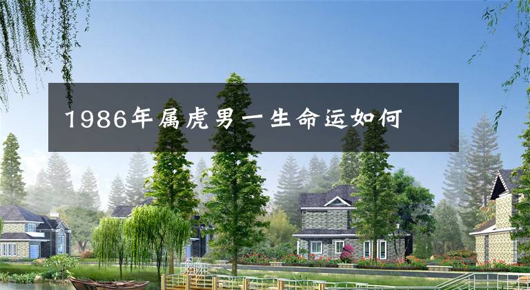 1986年属虎男一生命运如何