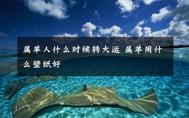 属羊人什么时候转大运 属羊用什么壁纸好