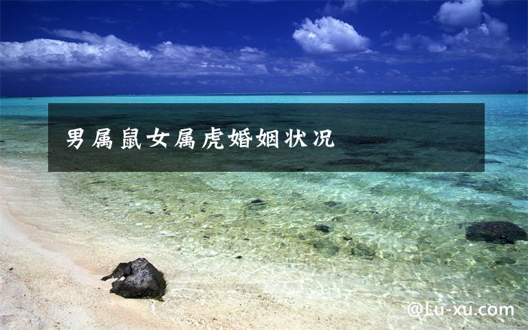 男属鼠女属虎婚姻状况