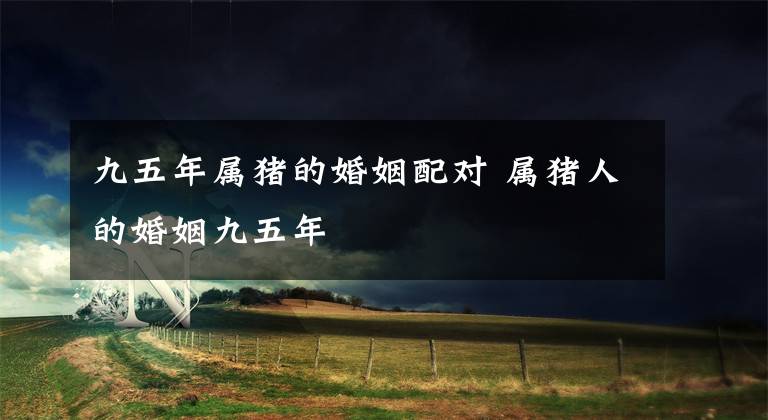 九五年属猪的婚姻配对 属猪人的婚姻九五年