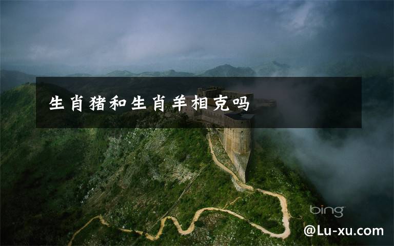 生肖猪和生肖羊相克吗