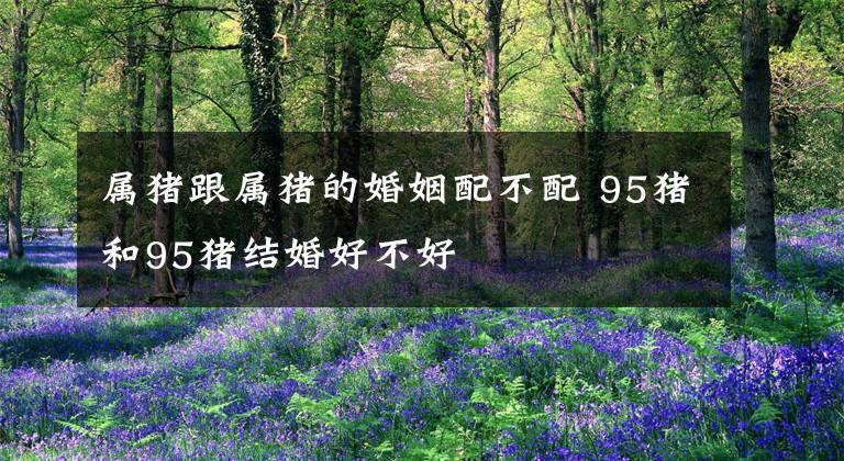 属猪跟属猪的婚姻配不配 95猪和95猪结婚好不好