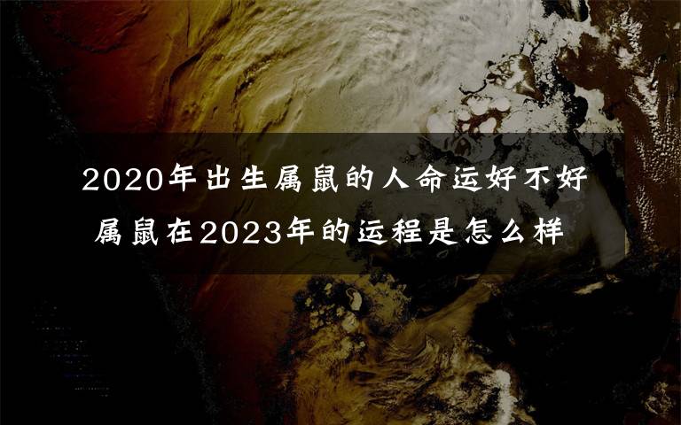 2020年出生属鼠的人命运好不好 属鼠在2023年的运程是怎么样