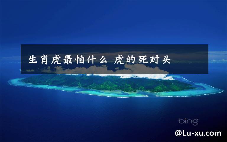 生肖虎最怕什么 虎的死对头