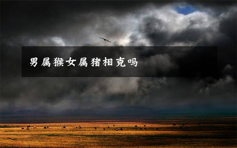 男属猴女属猪相克吗