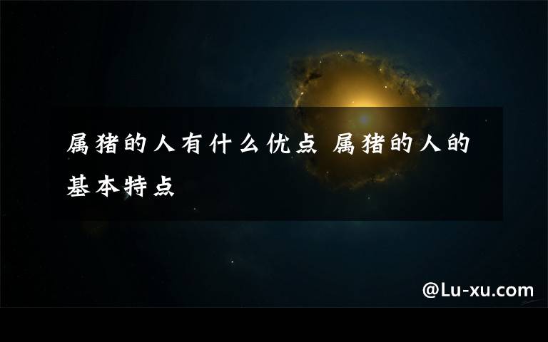 属猪的人有什么优点 属猪的人的基本特点