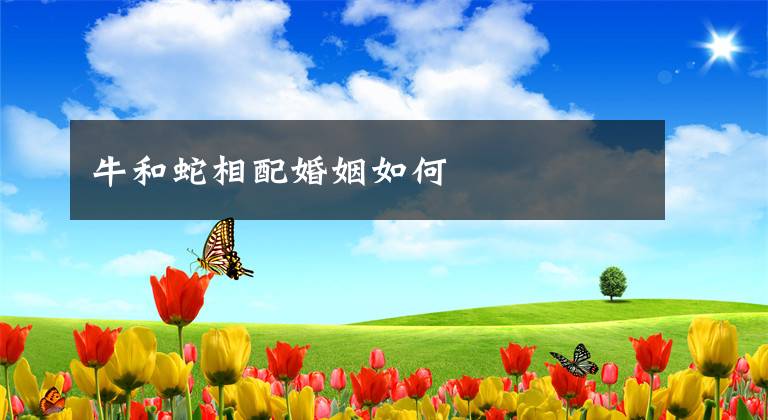 牛和蛇相配婚姻如何