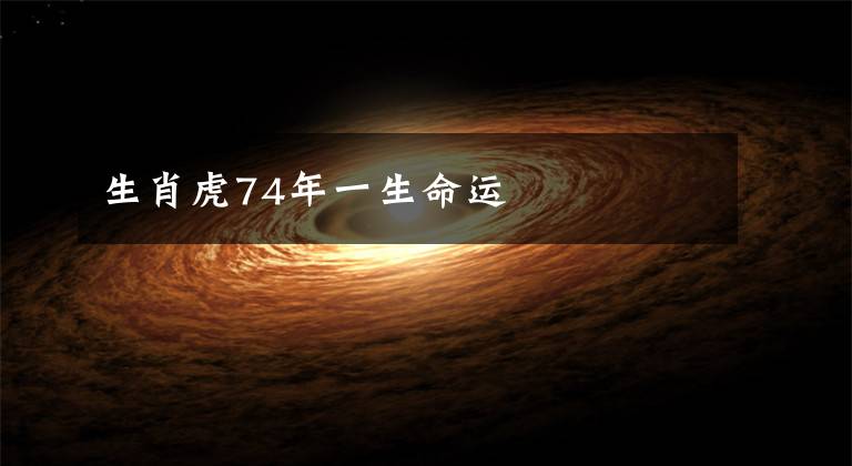 生肖虎74年一生命运
