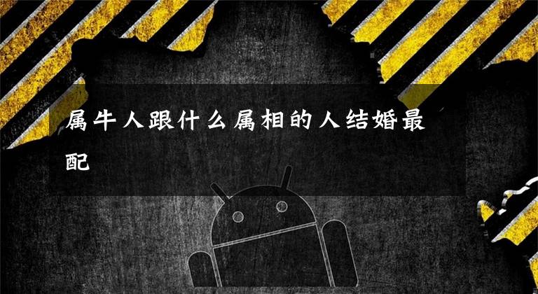 属牛人跟什么属相的人结婚最配