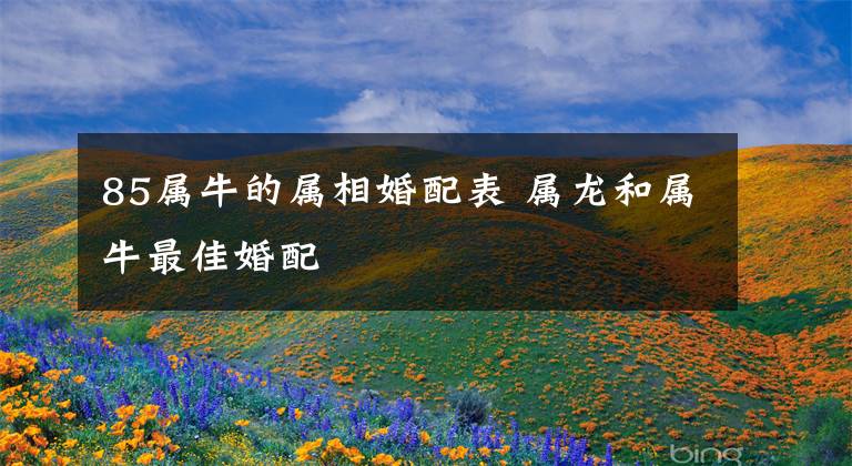 85属牛的属相婚配表 属龙和属牛最佳婚配