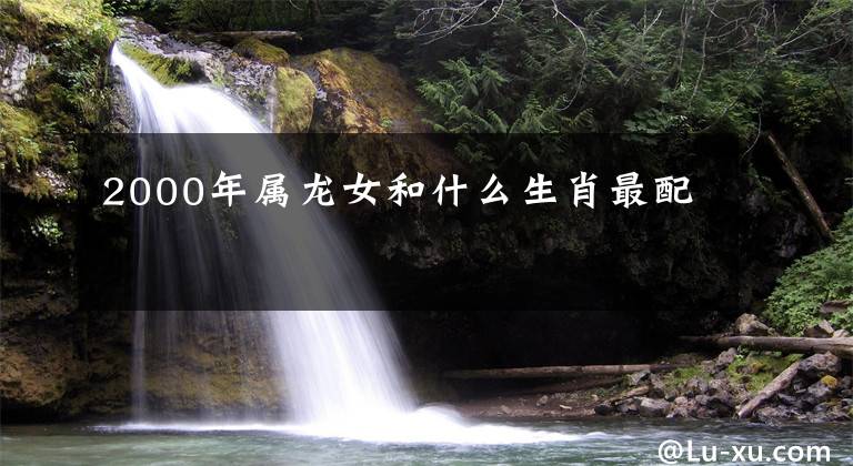 2000年属龙女和什么生肖最配