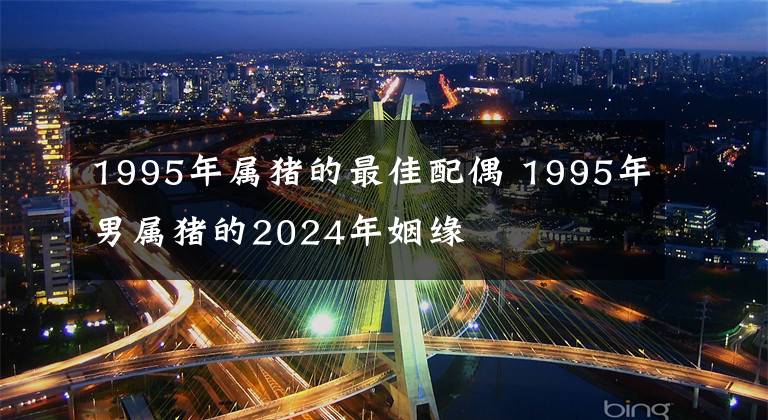 1995年属猪的最佳配偶 1995年男属猪的2024年姻缘