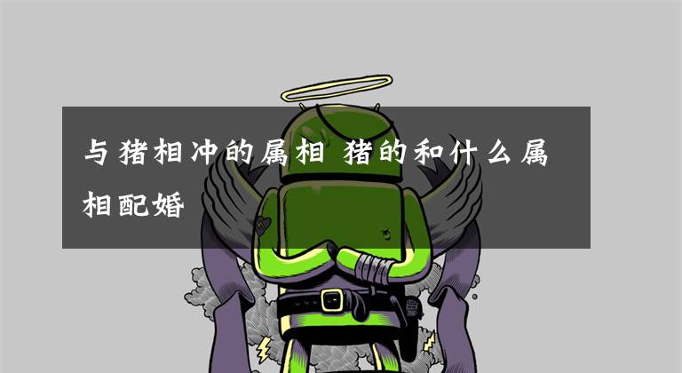 与猪相冲的属相 猪的和什么属相配婚