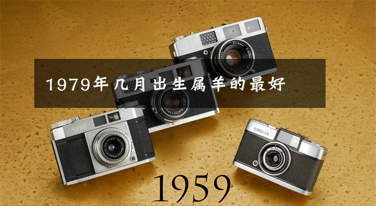 1979年几月出生属羊的最好