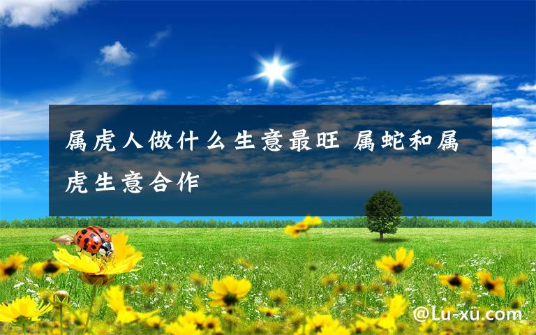 属虎人做什么生意最旺 属蛇和属虎生意合作