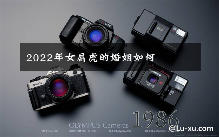 2022年女属虎的婚姻如何