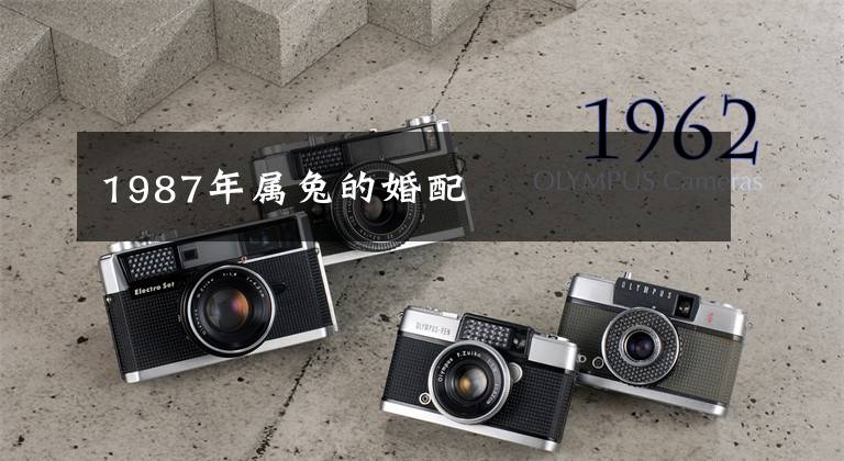 1987年属兔的婚配