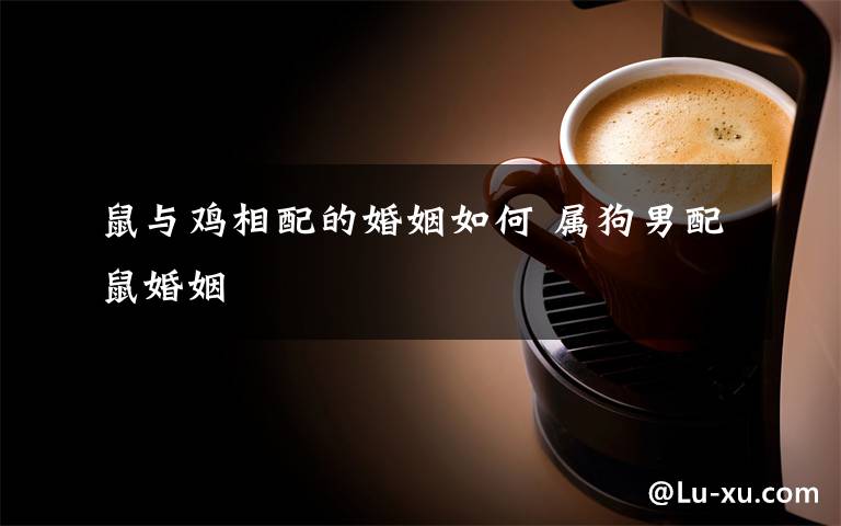 鼠与鸡相配的婚姻如何 属狗男配鼠婚姻