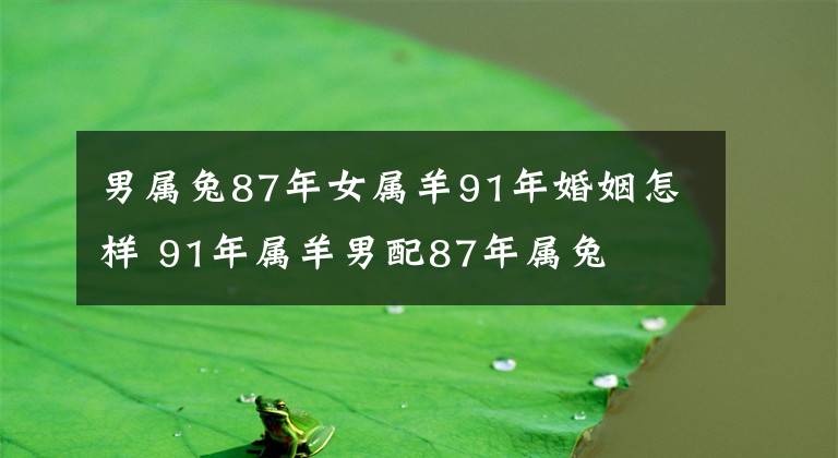 男属兔87年女属羊91年婚姻怎样 91年属羊男配87年属兔