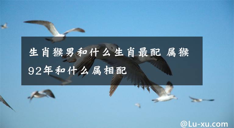 生肖猴男和什么生肖最配 属猴92年和什么属相配